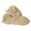 Bébé labradors jouant