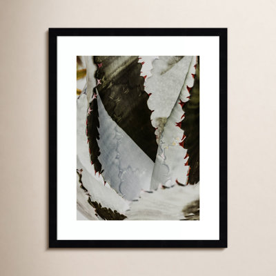 Daisey "Nova" Print by Shot by Clint