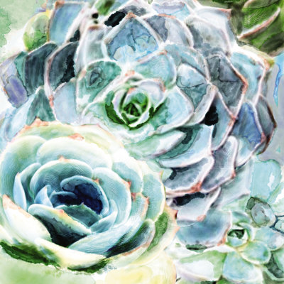 Succulent Watercolour 2 - Wrapped Canvas Painting