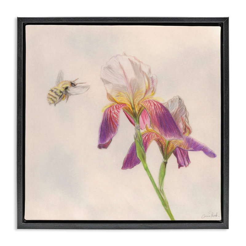 "Spring Offertes", abeille, art mural encadré doré par Connie Resch, Cadre flottant noir de jais, H 25 po x l 25 po