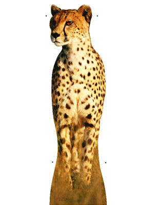 Cheetah Life-Size Cardboard Stand-Up