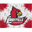 NCAA - Impression sur toile tendue-19833870-19833898
