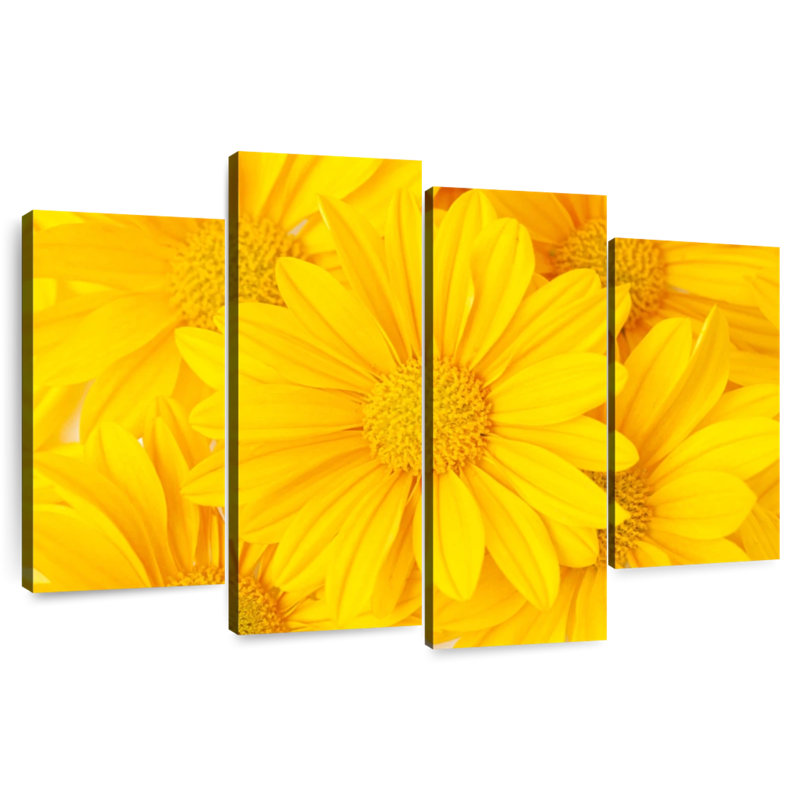 Marguerites jaunes Harnek, H 22 po x l 36 po
