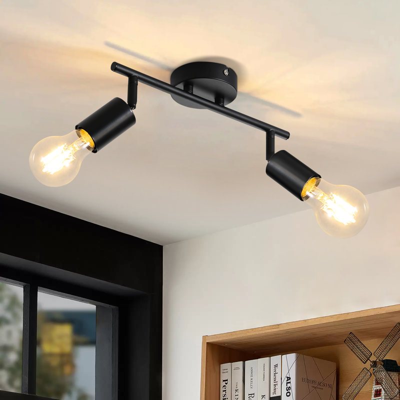 Analyah Ceiling Spotlight
