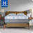 Sealy Dreamlife 14” Plush Foam Mattress-in-a-Box-99281171
