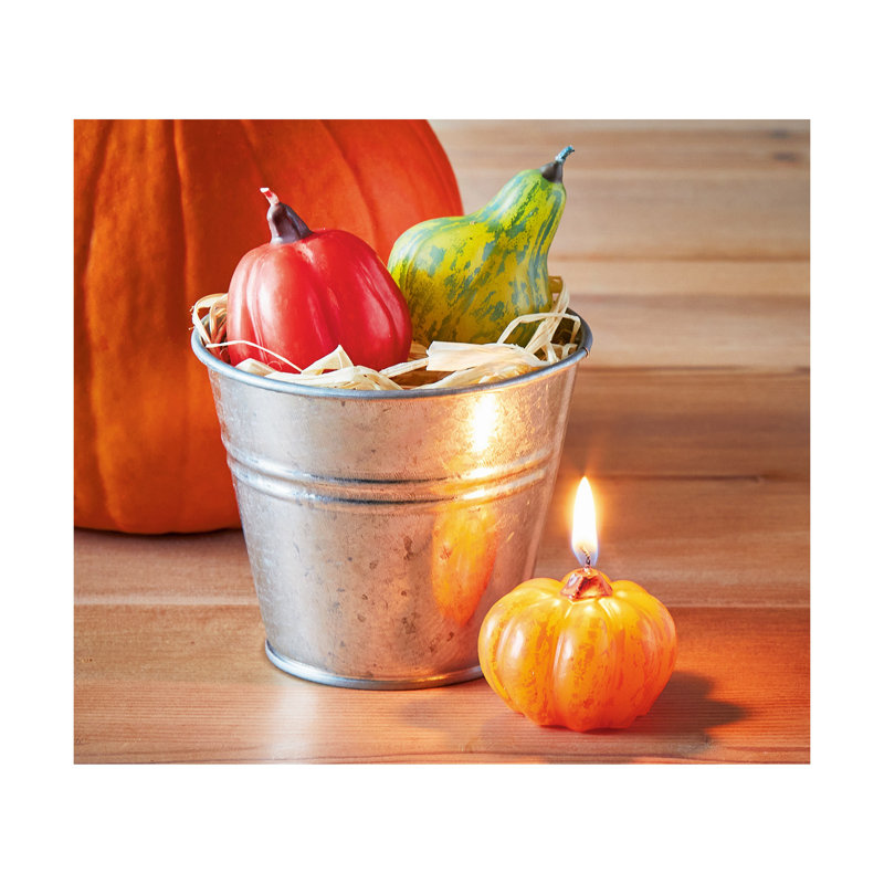 Pumpkin Patch Mini Candle&Pail