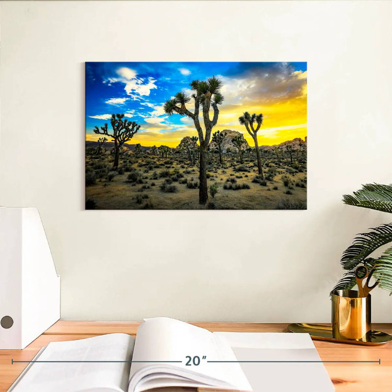 Nicci Joshua Tree Park, H 8 po x l 12 po