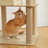 Cat Tree House