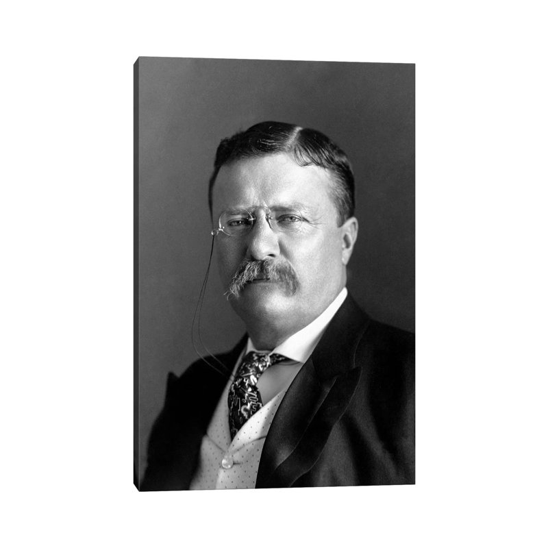 Portrait Of President Theodore Roosevelt In 1904 by Stocktrek Images - Wrapped Canvas Gallery-Wrapped Canvas Giclée