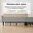 Velvet Upholstered Bed with Wingback Headboard-195891505-195891496