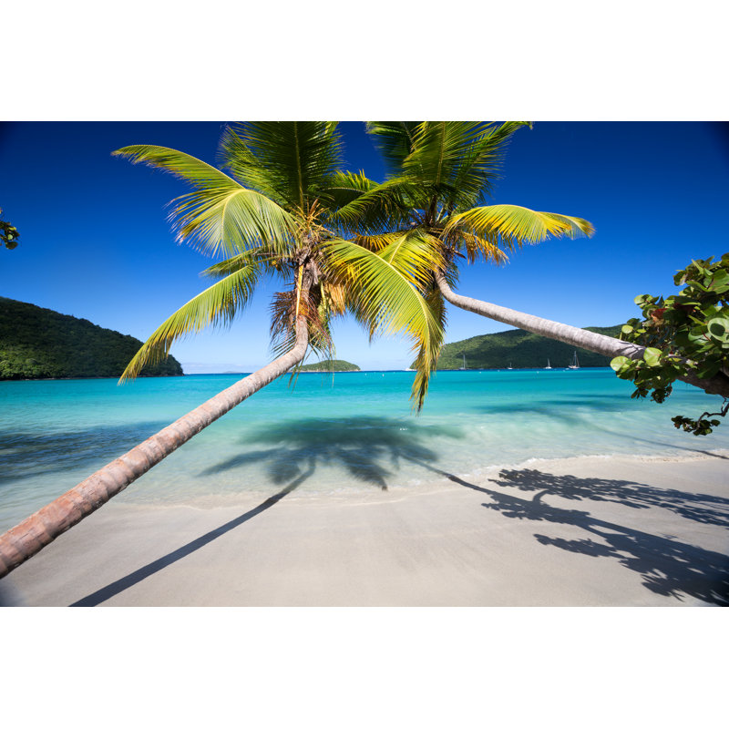 Palm Trees Beach by Jimkruger - Wrapped Canvas Print, 51cm H x 76cm W