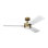Smart LED Downrod Ceiling Fan