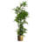 150cm Faux Moss Tree in Metal Planter-1516446486