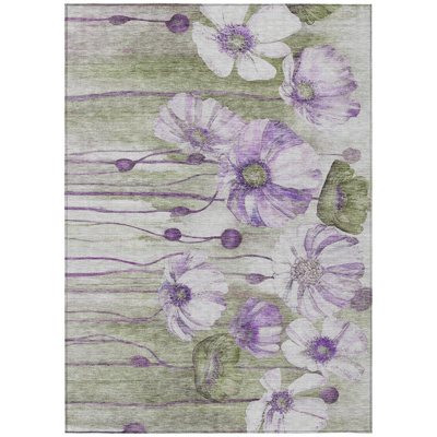  Emblyn Area Rug