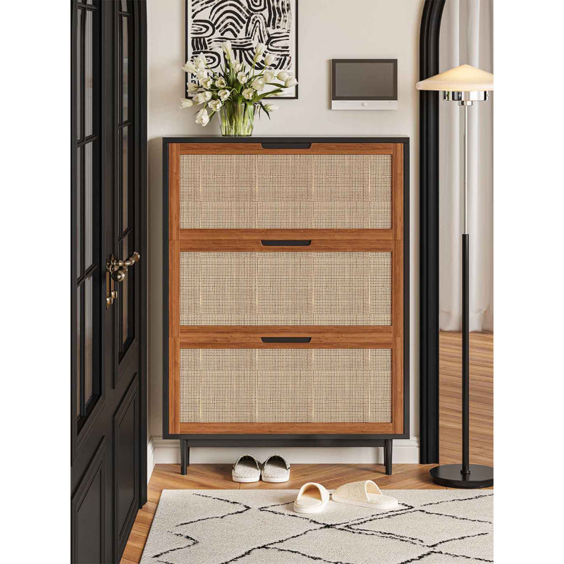 Armoire à chaussures artistique, conception inclinable