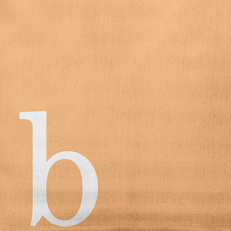 Coussin décoratif moderne Modern Monogram, 16 po x 16 po, Or pâle, B