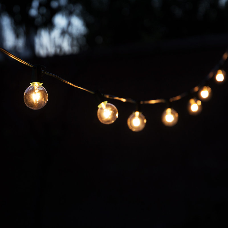 Gustave Indoor 10 - Bulb 12'' Plug-in Globe String Light