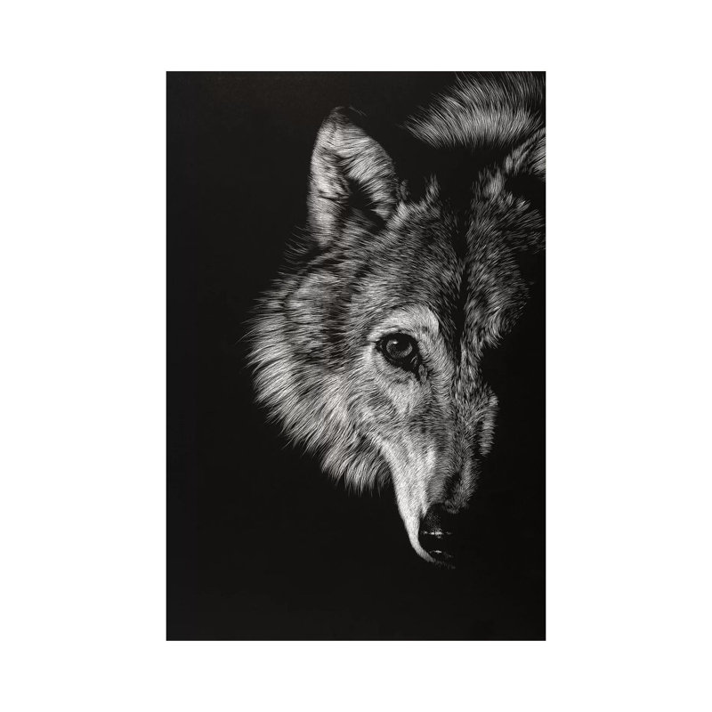 Black Glimpse III by Julie T. Chapman - Wrapped Canvas Gallery-Wrapped Canvas Giclée, 101.60cm H x 66.04cm W
