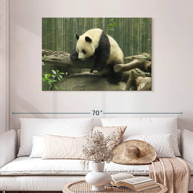Panda On A Trunk