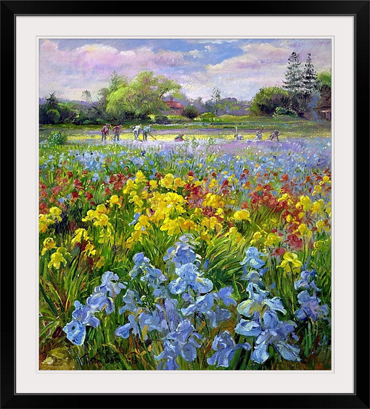 «Bideford Hoeing Team and Iris Fields» par Timothy Easton, reproduction d'art, H 24 po x l 19 po x p 1 po, Cadre noir