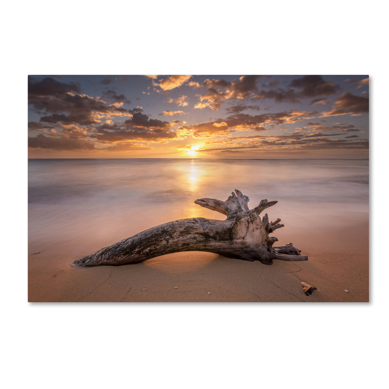 Sunrise Beach Tree Landscape Canvas Print