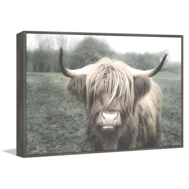 Shaggy Cattle Hair - Print, Floater Grey Framed Canvas, 30cm H x 30cm W x 3.81cm D