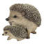 Mother & Baby Hedgehogs