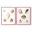 «Pastel Knorr Shells», reproduction encadrée de qualité supérieure - prête à être accrochée - aucun clou requis - aucun clou requis-635024538-635024537