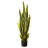 Sansevieria Artificial Plant-1037996432