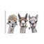 Alpacas Trio II - Wrapped Canvas Painting-700788506