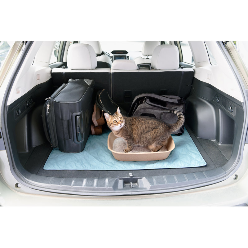 Kitty Sift Eco-Friendly Disposable Litter Box, 5.5" H x 17.8" W x 20.25" D