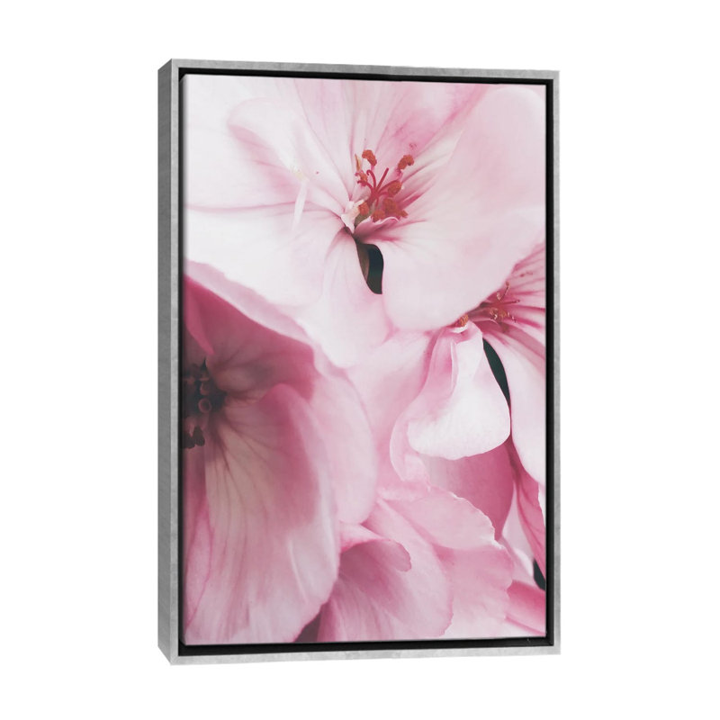 Fleurs roses - reproduction de photo, H 26 po x l 18 po x 1,5 po, Toile avec cadre argenté, Pas de tapis