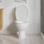 Siège de toilette blanc à fermeture en douceur