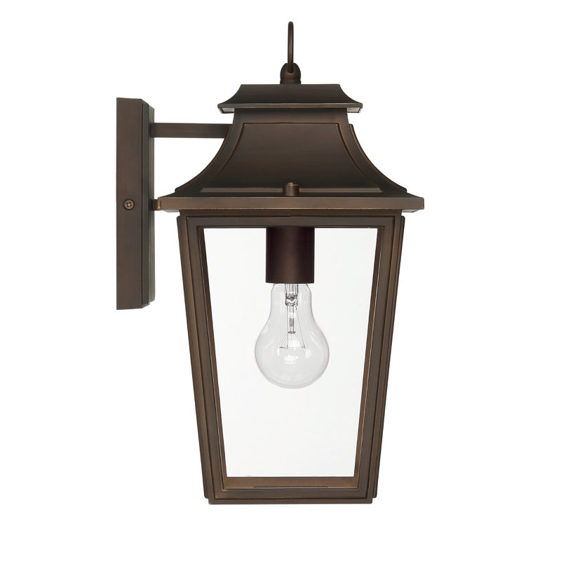 Hunter Spring Cove Outdoor 1 Light Medium 15 Inch Wall Light, Bronze