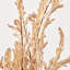 Dried Flower Bunch-119034008-119034009