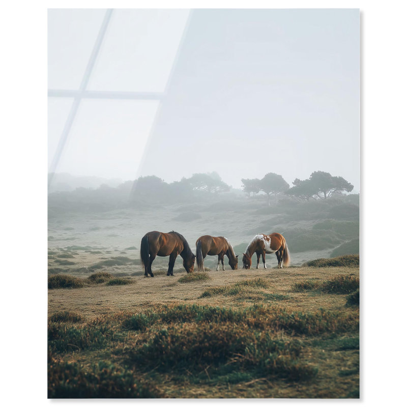«Misty Pasture», reproduction d'art acrylique sur toile par Art Remedy, H 24 po x l 20 po