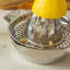 Argon Tableware Manual Citrus Juicer