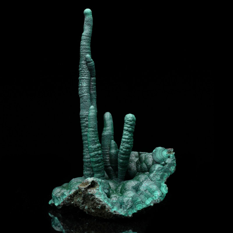 Véritables stalactites de malachite de la RDC - Échantillon de minéral vert vibrant