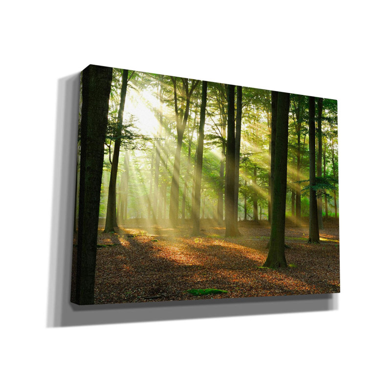 «Rays of Light», art mural sur toile, H 40 po x l 54 po x P 1,5 po