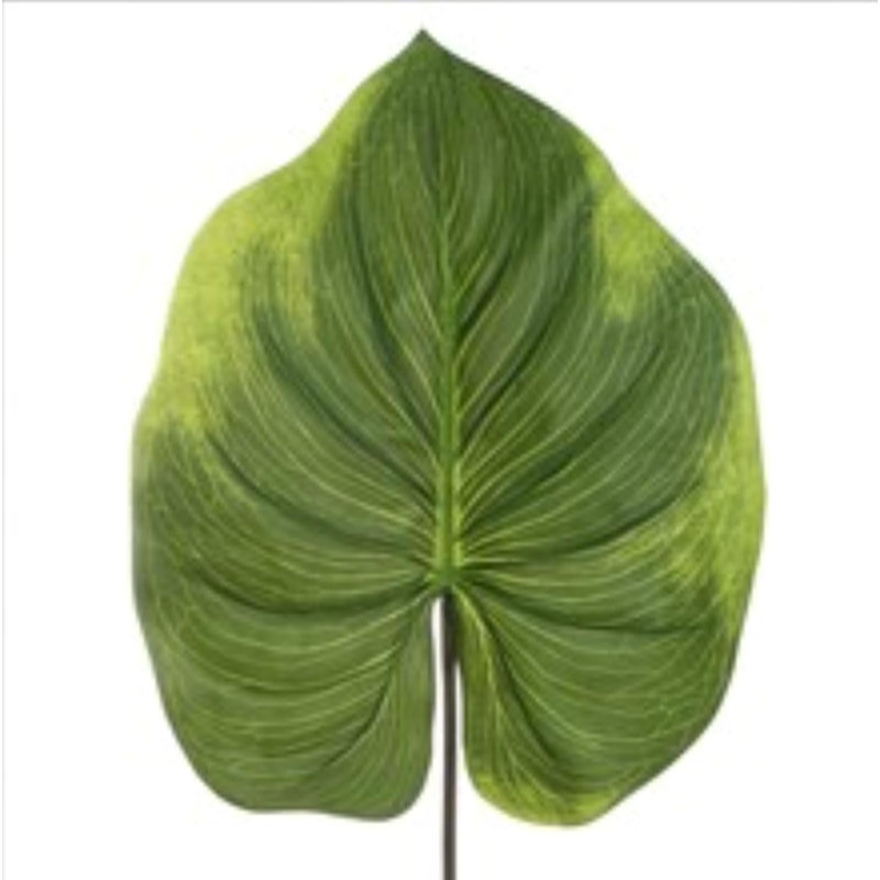 33 "Real Touch Alocasia