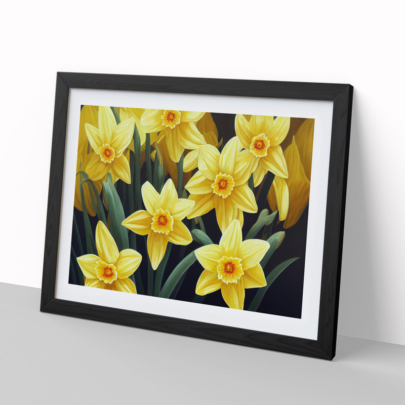 Ultimate Daffodil Flowers - Framed Print, Black, 25cm H x 34cm W x 2cm D