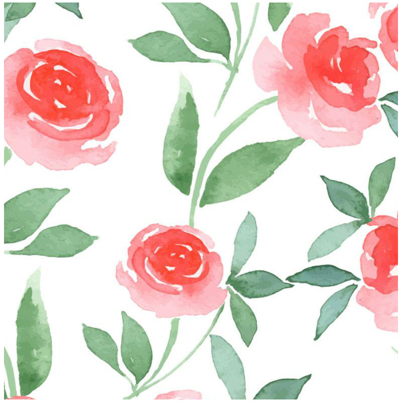 Pink Rose Watercolor Floral Wallpaper Roll by Jamie Graney