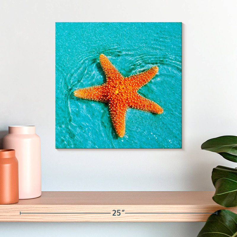 Brampt Submerged Starfish, 16" H x 16" W