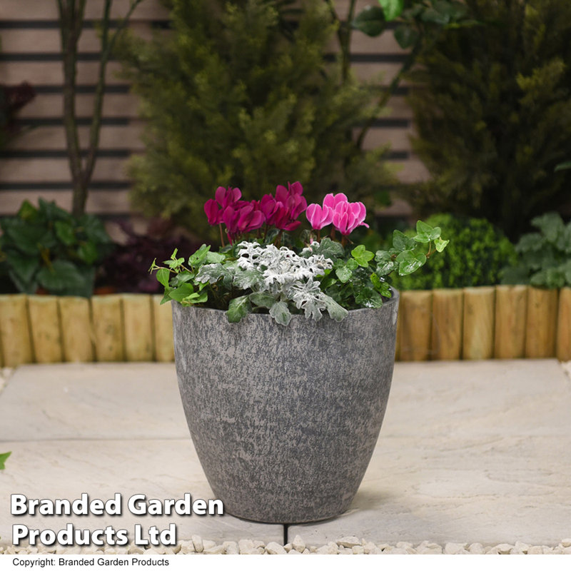 Parveena Plant Pot Triple Pack