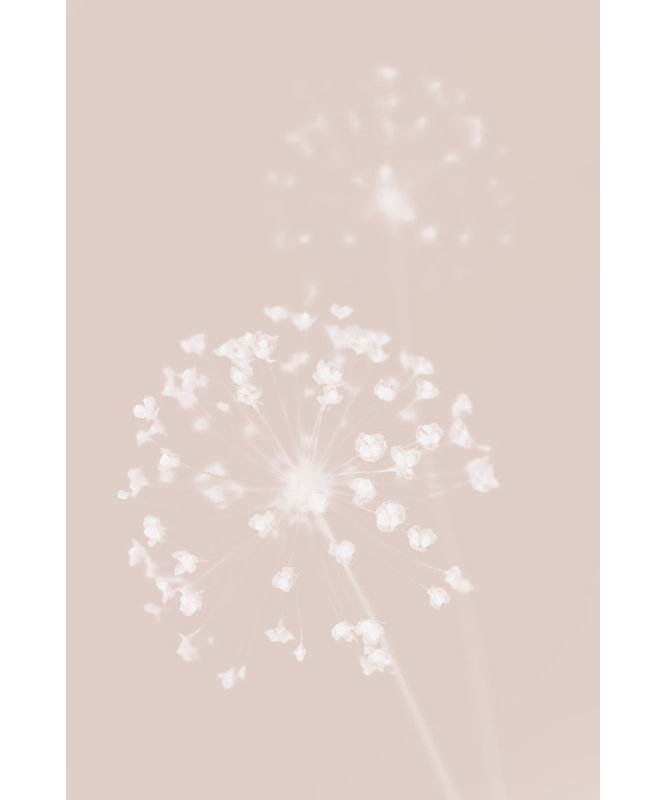 Wrapped Canvas Print, 91.44 cm H x 60.96 cm W