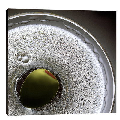 « oiseaux eye martini » par barry seidman, reproduction de photo sur toile tendue