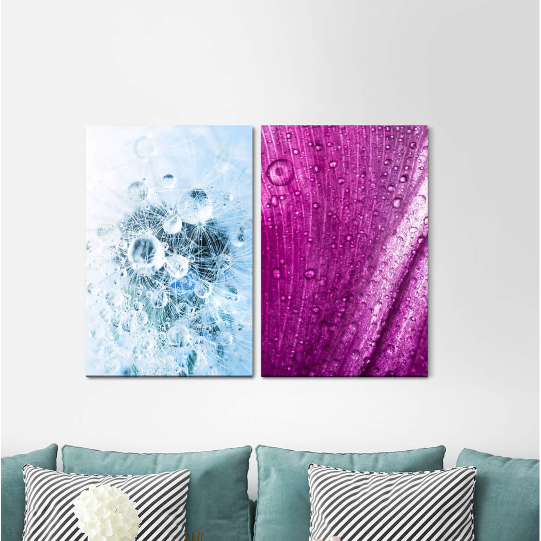 2-tlg. Leinwandbilder-Set - Fotografie „Blowball Raindrops Blossom Flowers Refreshing”