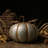 Thanksgiving Decorative Accent