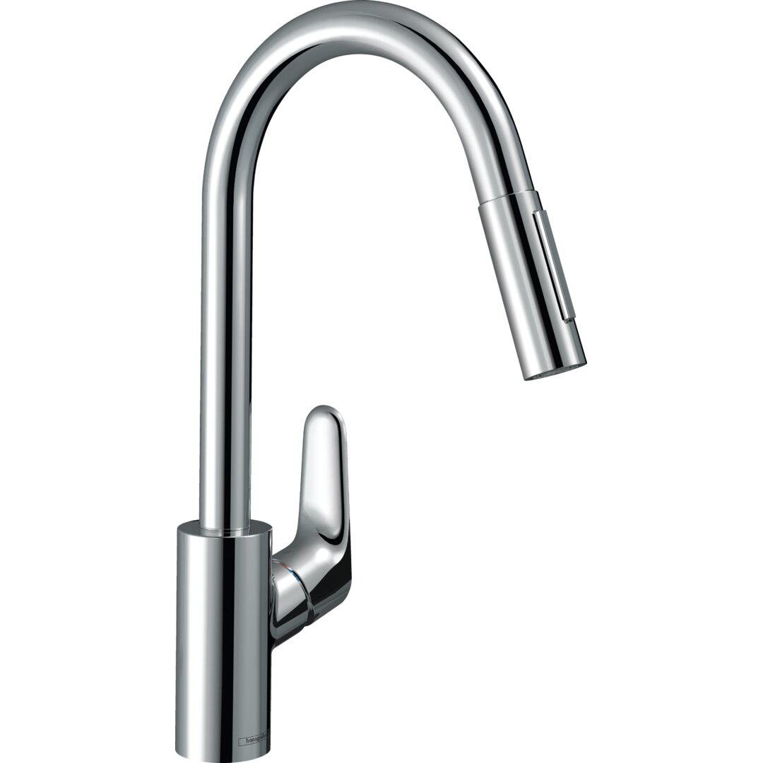 Hansgrohe Focus M41 Einhebel-Küchenarmatur 240, Ausziehbrause, 2 Strahlarten, Schlauchbox (Sbox)