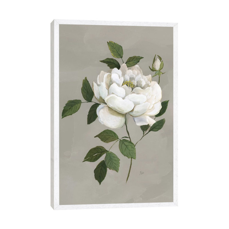 Botanical Rose by Nan - Print on Canvas, White Framed, 101.6 cm H x 66.04 cm W